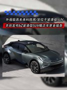 丰田发布bZ紧凑型SUV概念车更多信息，屏幕或将采用柔性屏