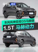 东风风神奕炫GS马赫版上市，售8.59万元起/搭1.5T马赫动力