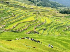 买台SUV带全家人旅游，第四代CS75PLUS了解下