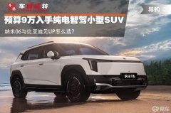 预算9万入手纯电小型SUV，纳米06与比亚迪元UP怎么选